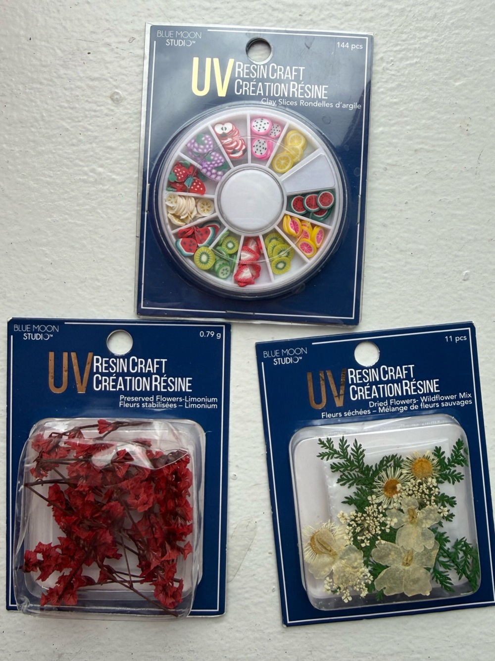 Blue Moon Studio UV Resin Craft Embellishments - Fruit Slices & Dried Flowers